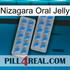 Nizagara Oral Jelly 23